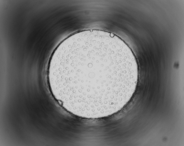 X0000103930949200810311514