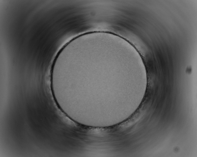 X0000103930950200810311514