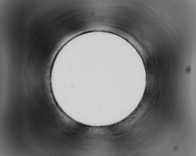 X0000103930951200810311514