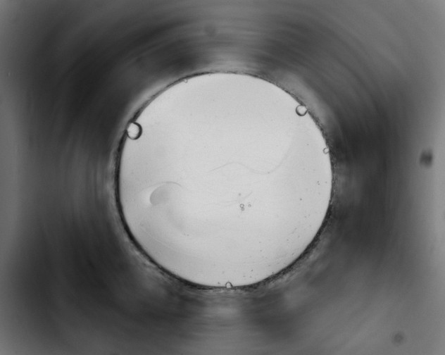 X0000103930952200810311514
