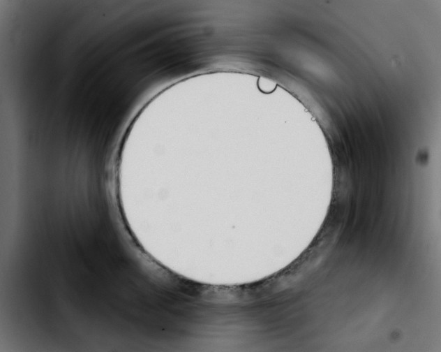 X0000103930955200810311514