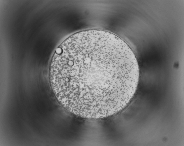 X0000103930956200810311514
