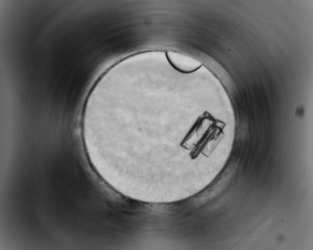 X0000103930958200810311514