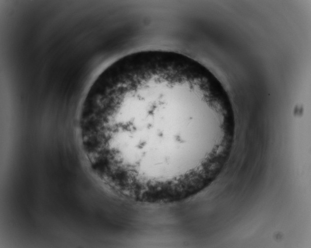 X0000103930960200810311514