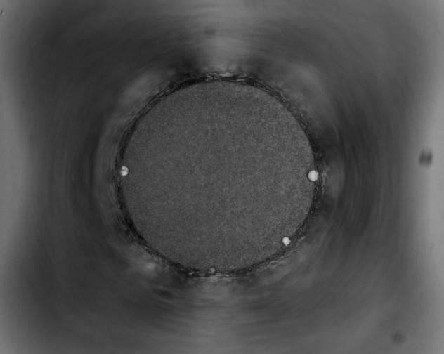 X0000103930961200810311514