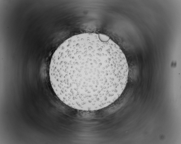 X0000103930962200810311514
