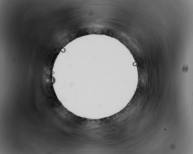 X0000103930964200810311514