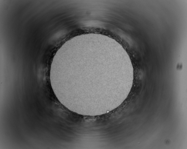 X0000103930965200810311513