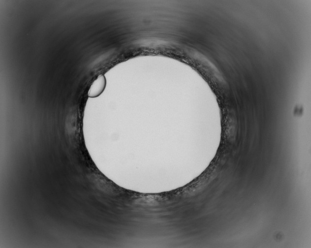 X0000103930966200810311513