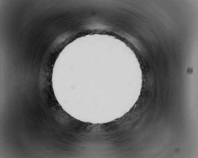 X0000103930967200810311513