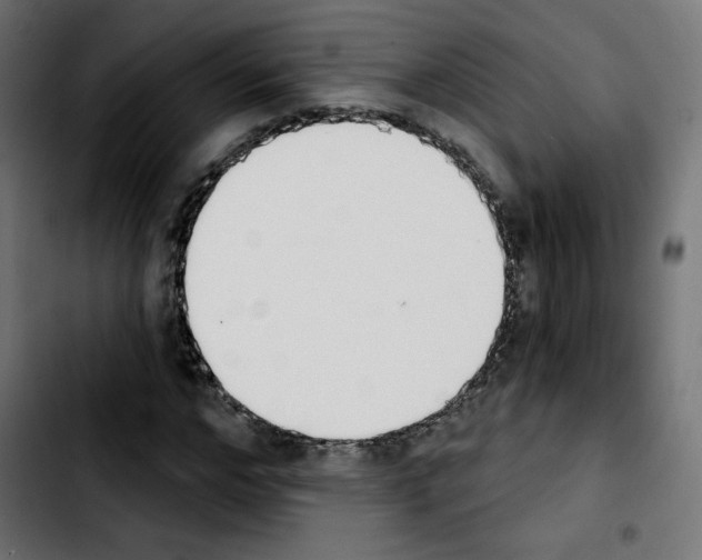 X0000103930968200810311513