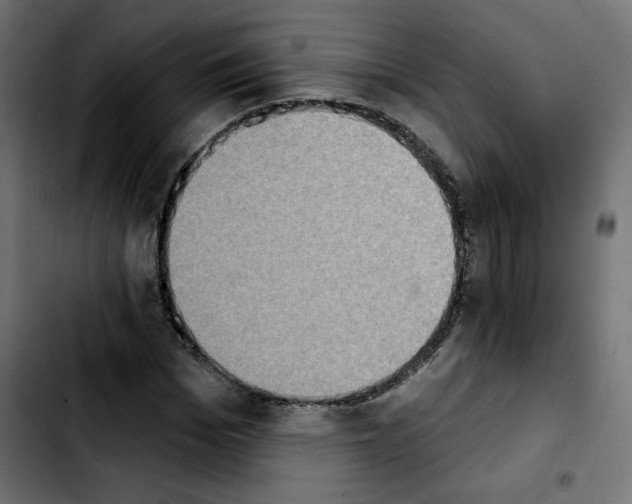 X0000103930969200810311513