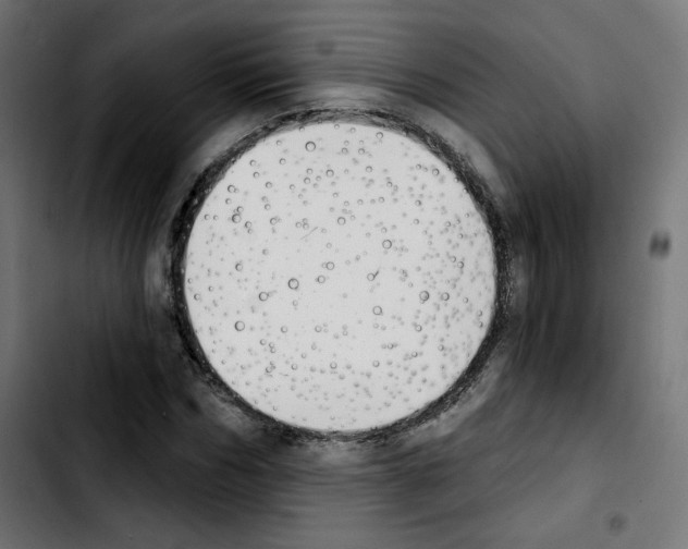 X0000103930970200810311513