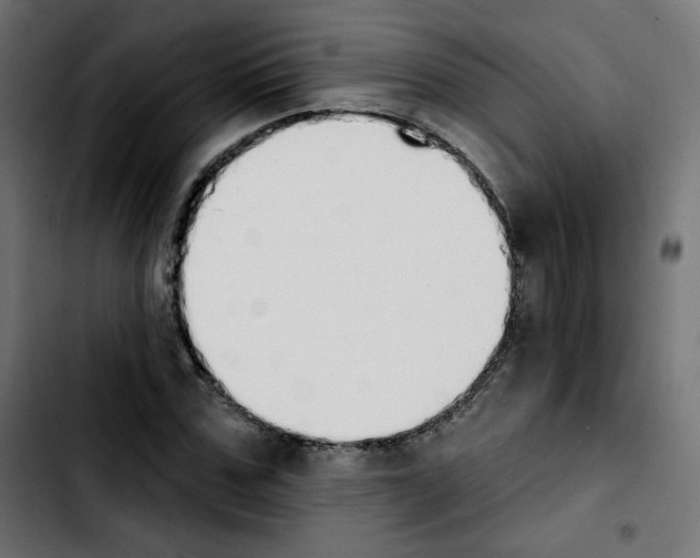 X0000103930971200810311513