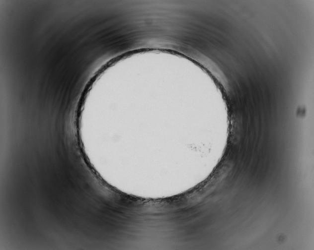 X0000103930972200810311513