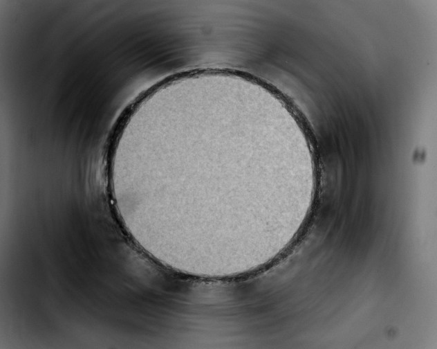X0000103930973200810311513