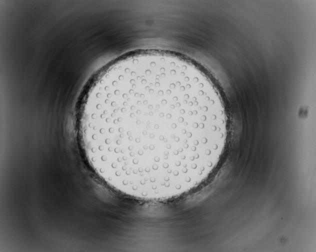 X0000103930974200810311513
