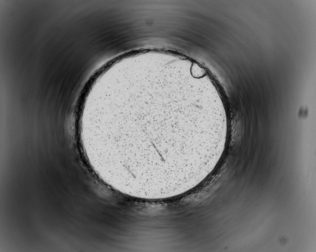 X0000103930975200810311513