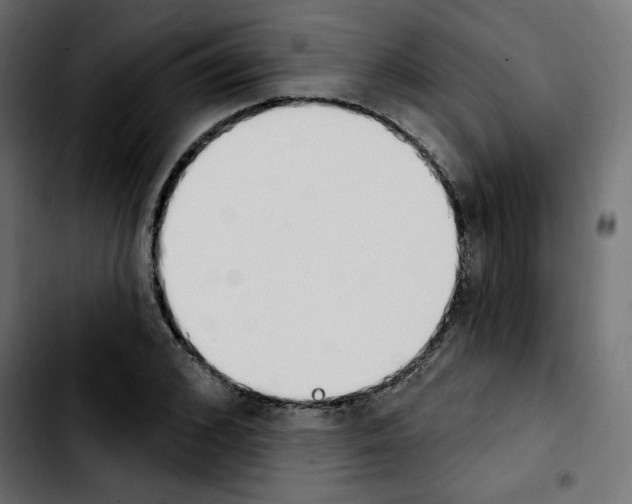 X0000103930976200810311513