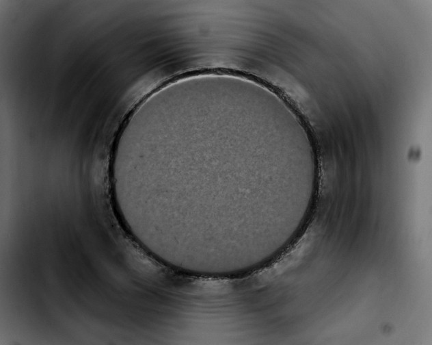 X0000103930977200810311513