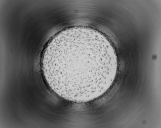 X0000103930978200810311513