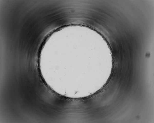 X0000103930979200810311513