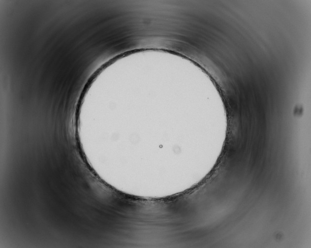 X0000103930980200810311513