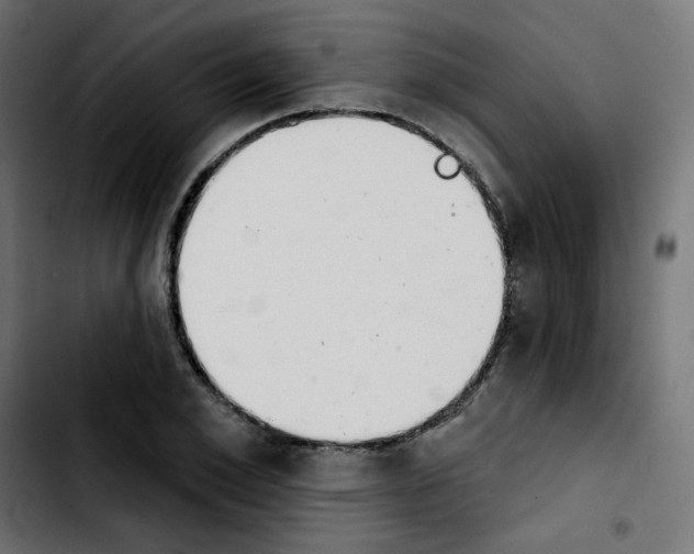 X0000103930981200810311513