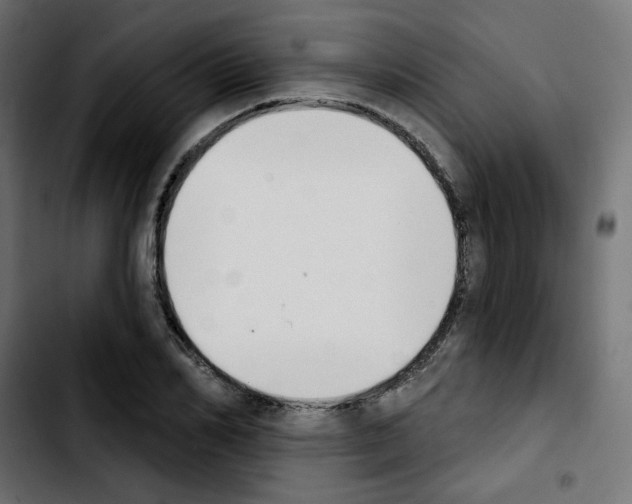 X0000103930982200810311513