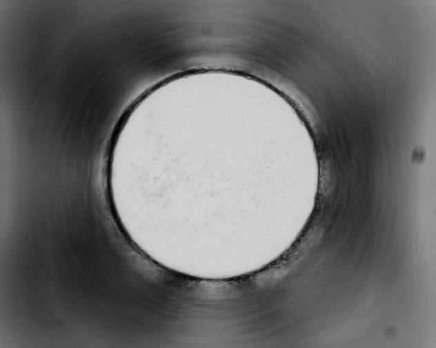 X0000103930983200810311513