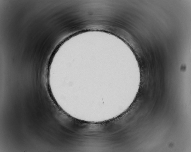 X0000103930984200810311513