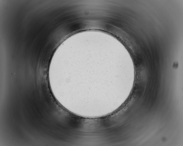 X0000103930985200810311513