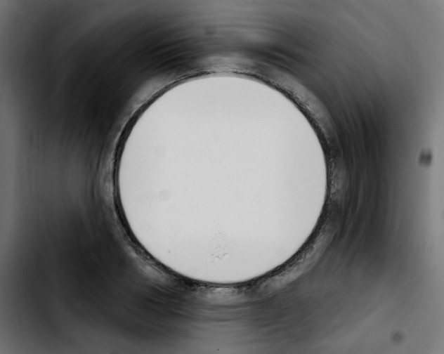 X0000103930986200810311513