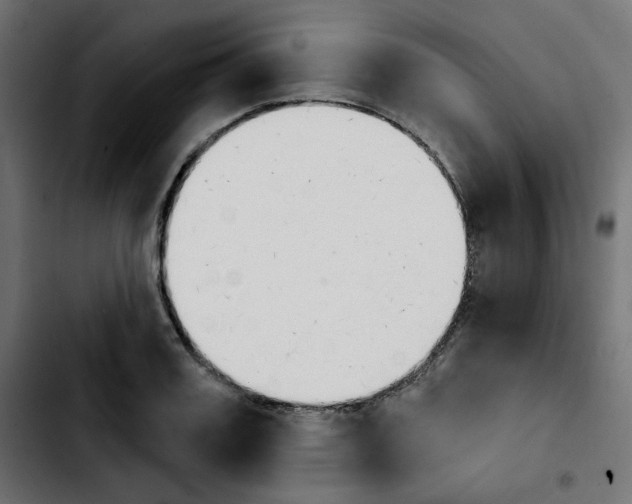 X0000103930987200810311513