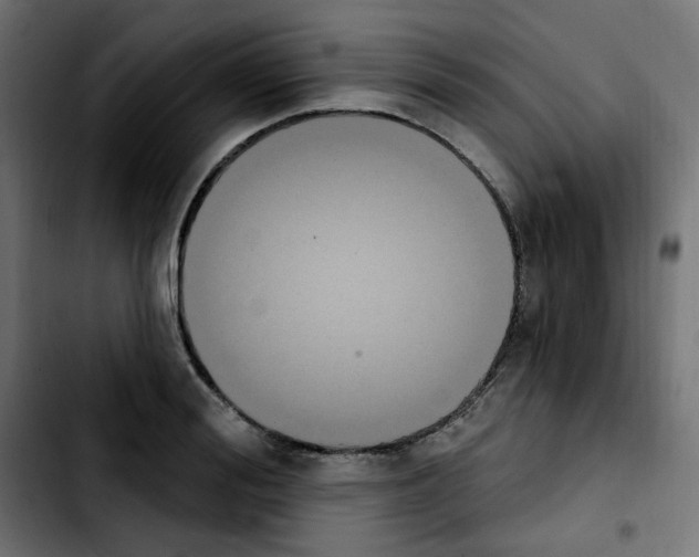 X0000103930988200810311513