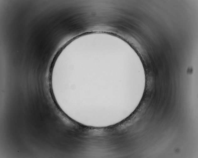 X0000103930990200810311513
