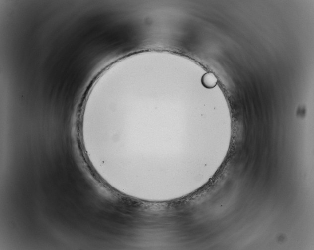 X0000103930991200810311513