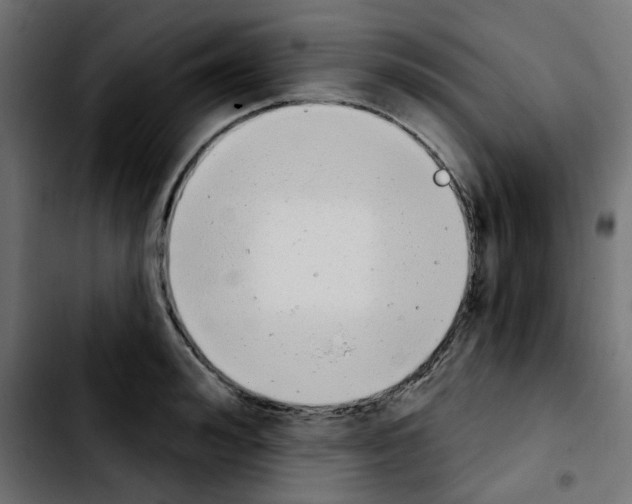 X0000103930992200810311513