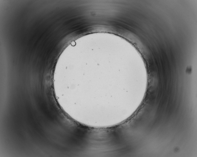 X0000103930993200810311513