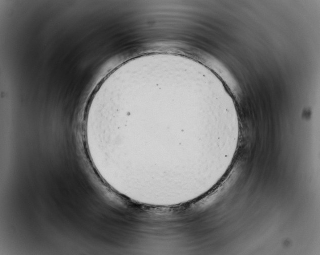 X0000103930994200810311513
