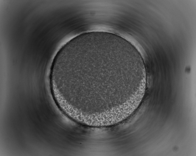 X0000103930995200810311513