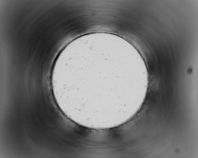 X0000103930997200810311513