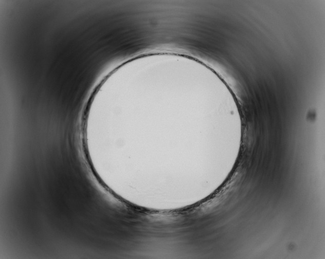 X0000103930998200810311513