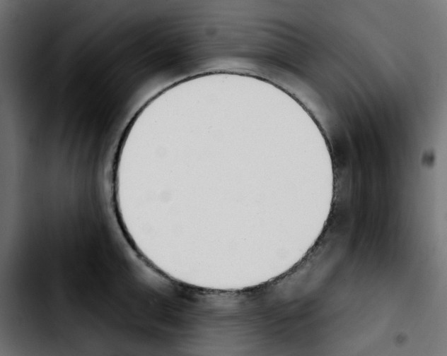 X0000103930999200810311513