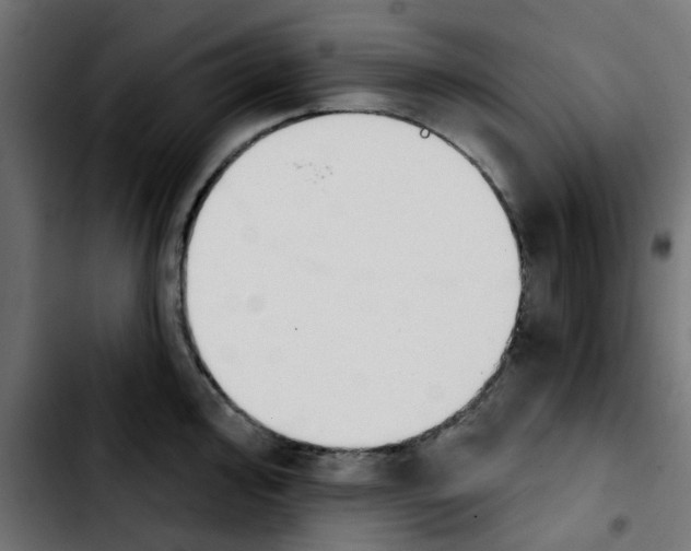 X0000103931000200810311513