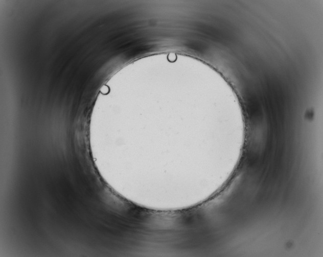 X0000103931001200810311513