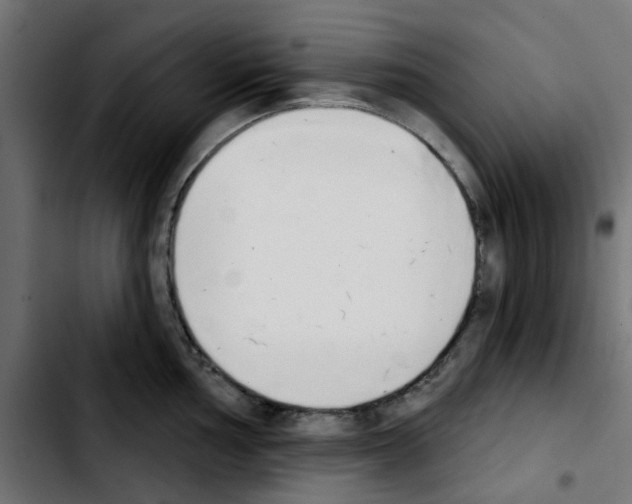 X0000103931002200810311513