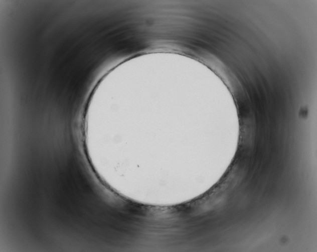 X0000103931003200810311513