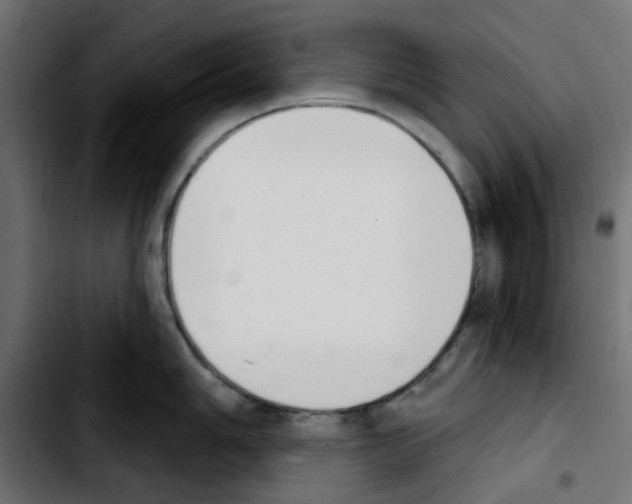X0000103931006200810311513