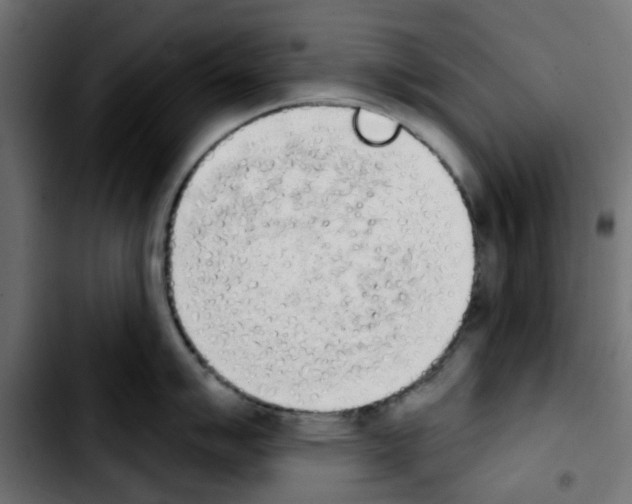 X0000103931007200810311513